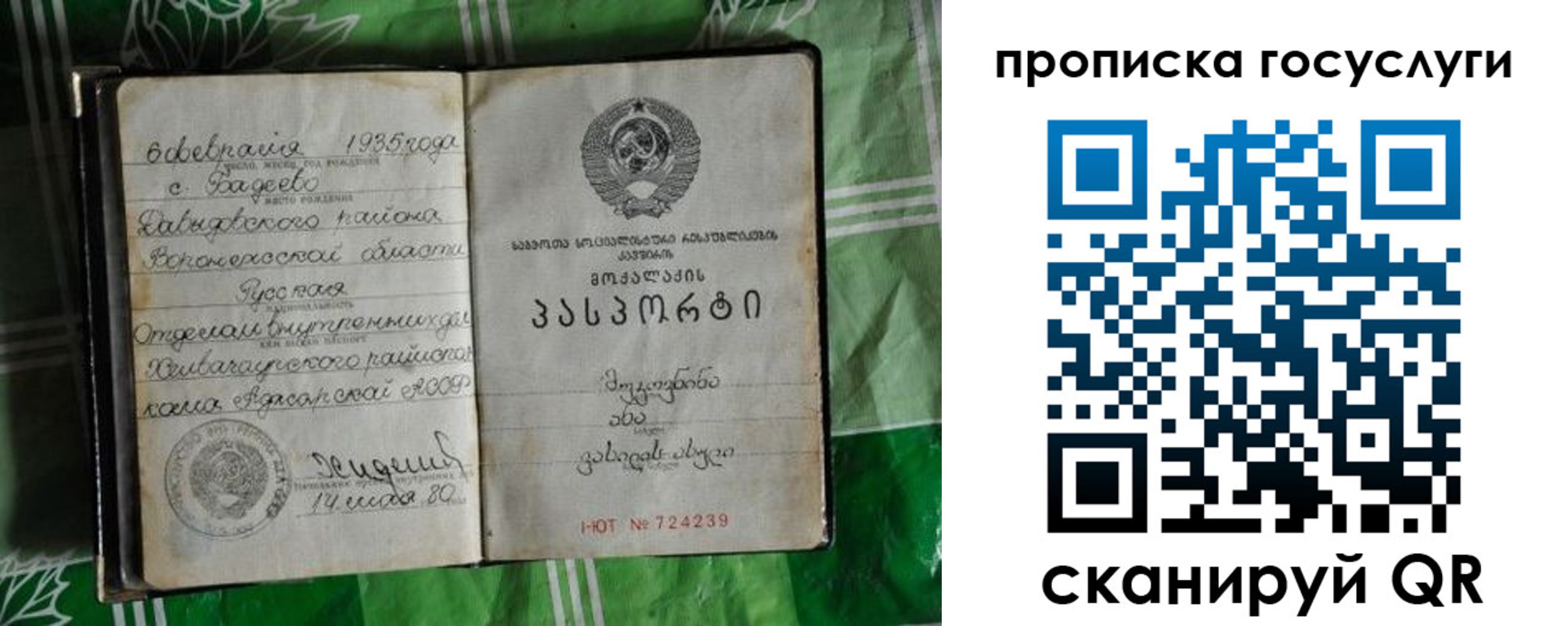прописка паспорт в Волосово